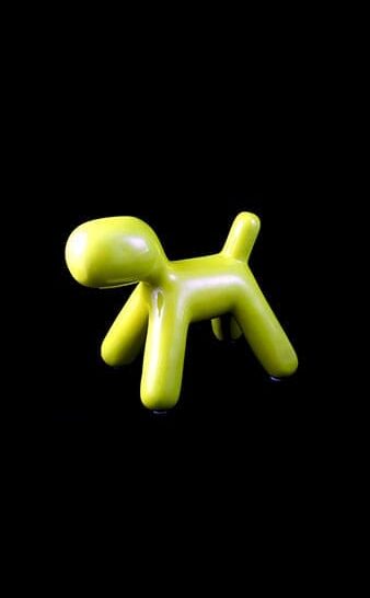 Perrito Variedad Colores