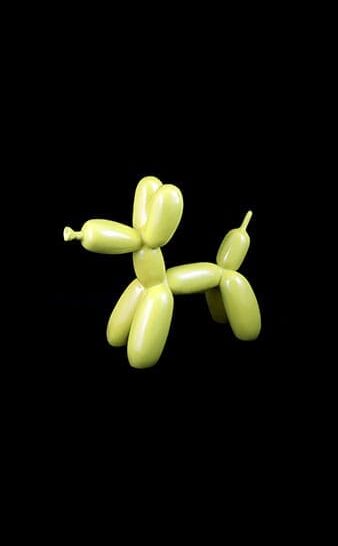 Perrito Globo Variedad Colores