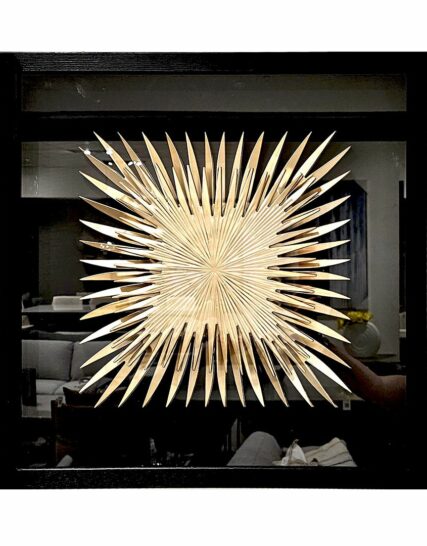 Cuadro Ray / Wall Decor
