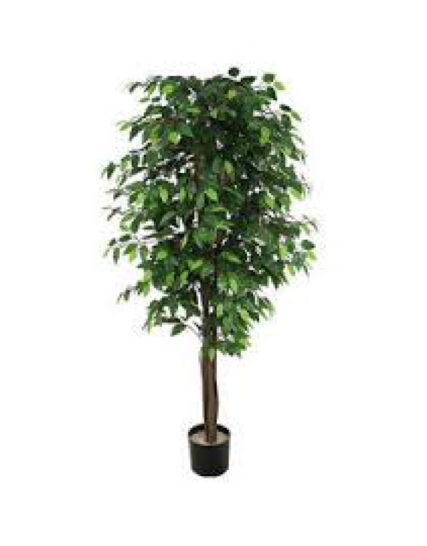 Ficus Artificial Benjamina