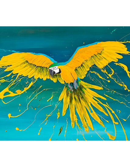 Freedom in the tropics