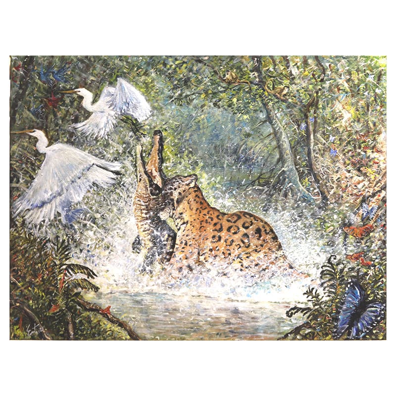 La Belleza Salvaje 1