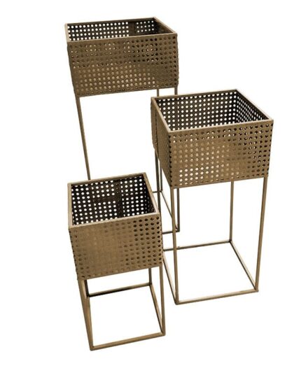 Set Maseteros Yana Young