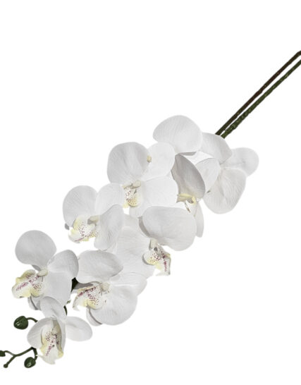 ORQUIDEA BLANCA LARGE