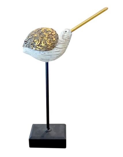 Zarapito de Pico Largo